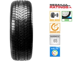 [W245/35VR21GMPRO] GRIPMAX STATUS PRO WINTER 245/35 R21 96V
