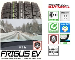 [W2156516FR5S] FRIGUS EV ICE 5s 215/65 R16 102T