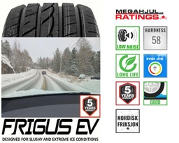 FRIGUS EV ICE 5 235/55 R18 104H
